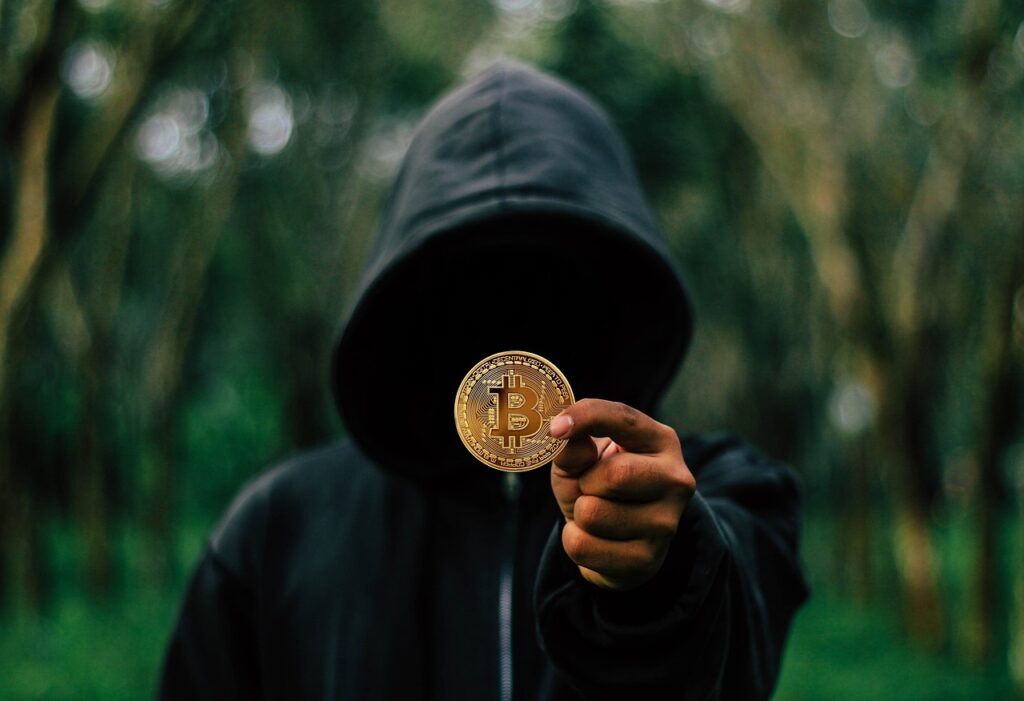 bitcoin, coin, hoodie-6054330.jpg