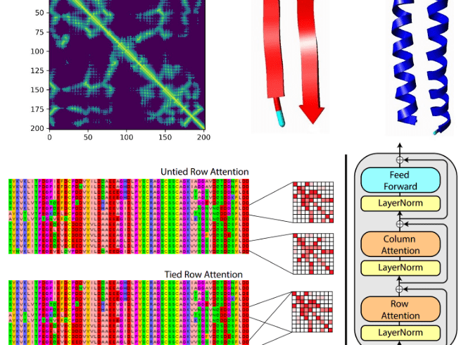 Deep learning on computational biology and bioinformatics tutorial: from DNA to protein folding and alphafold2