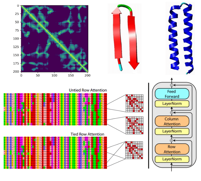 Deep learning on computational biology and bioinformatics tutorial: from DNA to protein folding and alphafold2