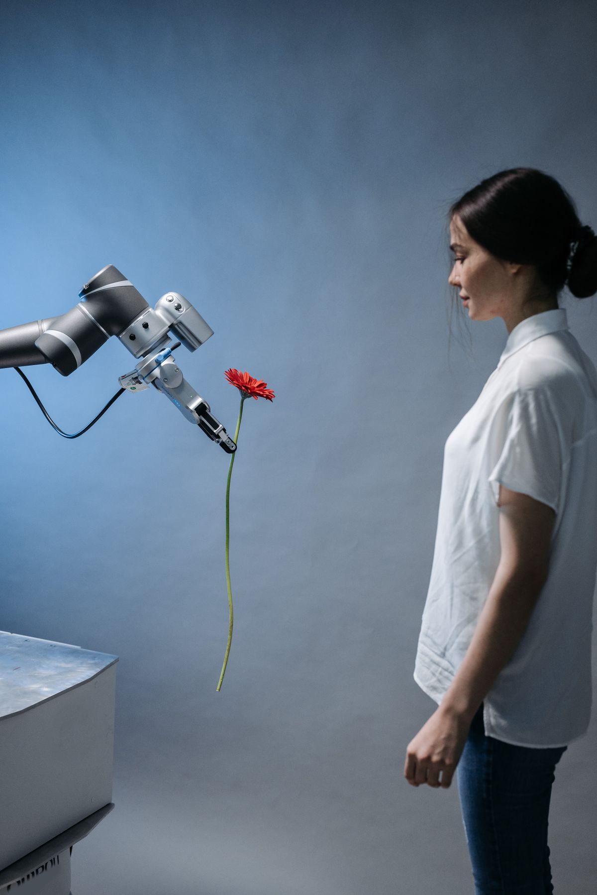 Open Source vs Closed Source AI Models: What’s the Difference